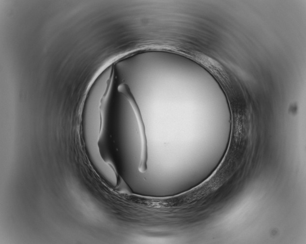 X0000098031052200804181224