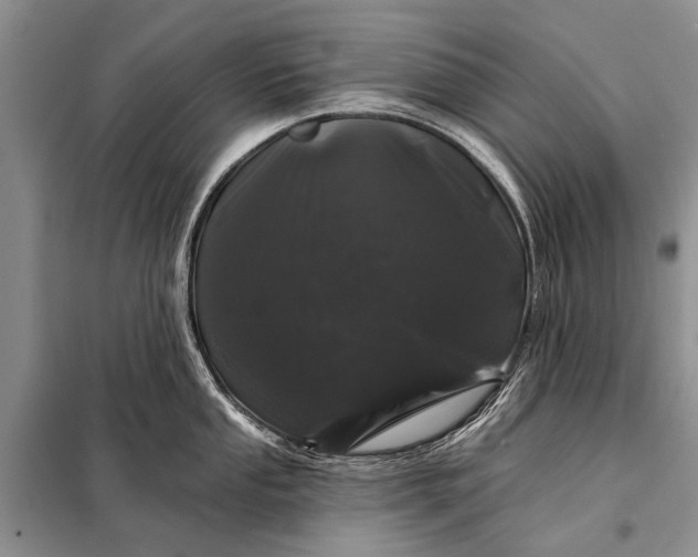 X0000098031053200804181224