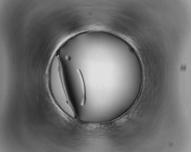 X0000098031056200804181224