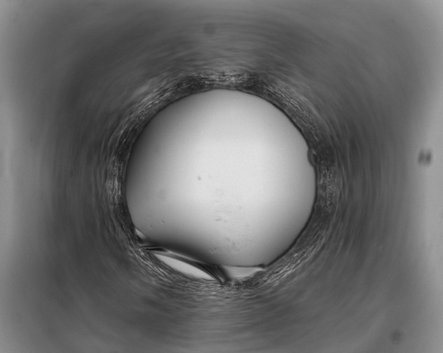 X0000098031058200804181224