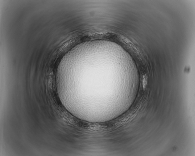 X0000098031059200804181224