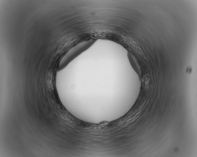 X0000098031060200804181224