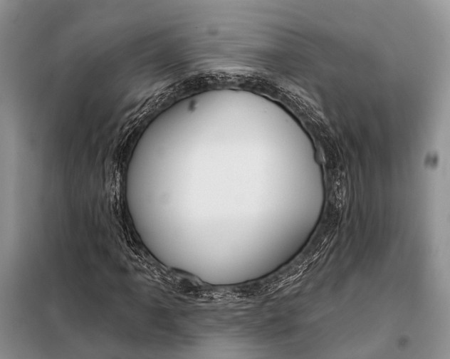 X0000098031061200804181224