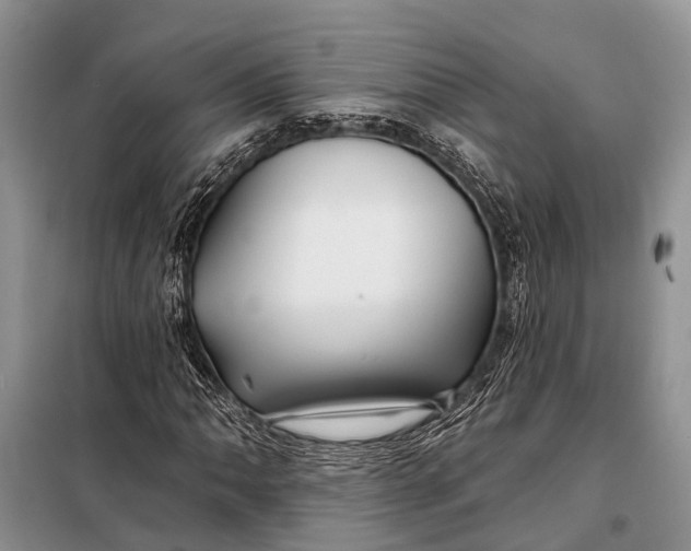 X0000098031062200804181224