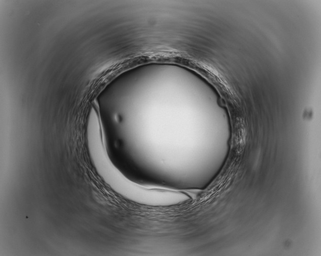 X0000098031063200804181224