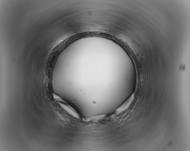 X0000098031064200804181223