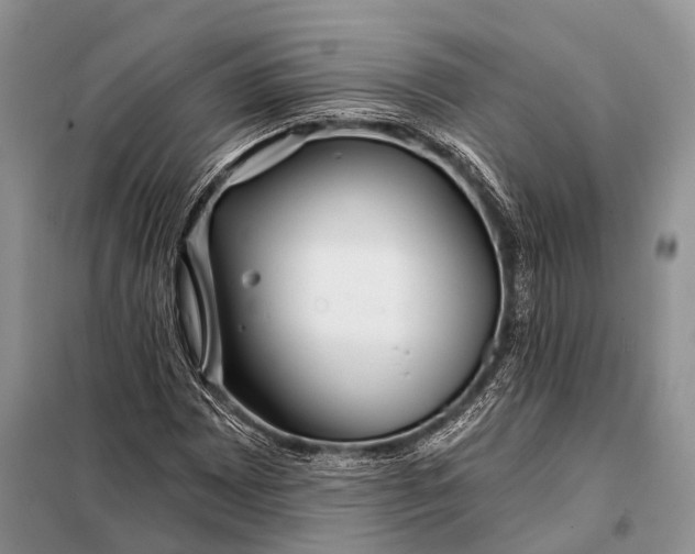 X0000098031065200804181223