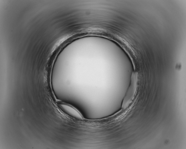 X0000098031066200804181223