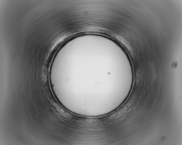 X0000098031067200804181223