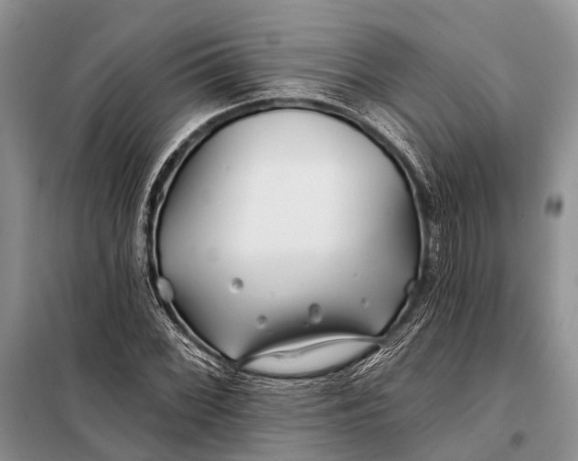 X0000098031068200804181223