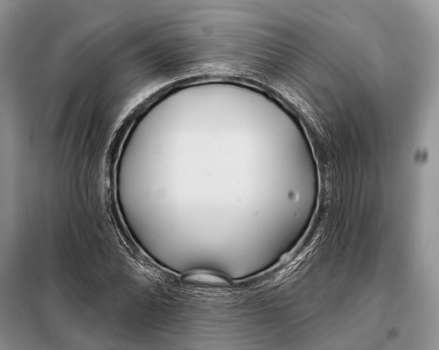 X0000098031070200804181223