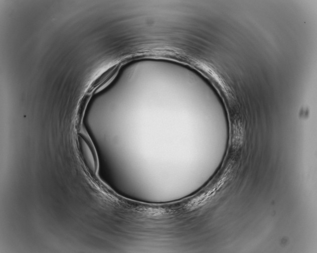 X0000098031071200804181223