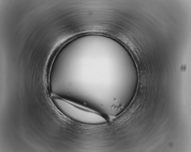 X0000098031072200804181223