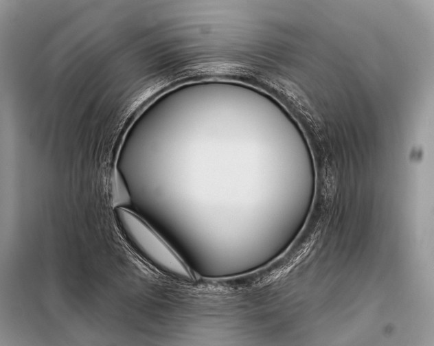 X0000098031073200804181223