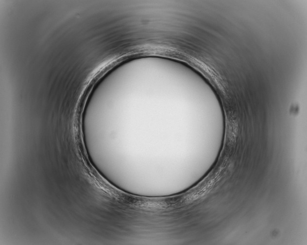 X0000098031074200804181223