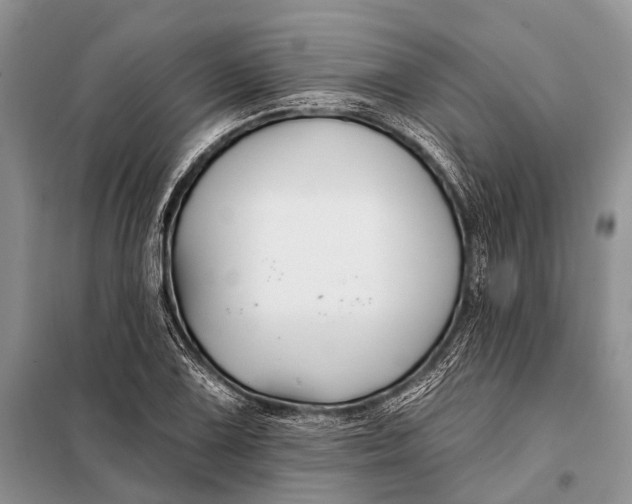 X0000098031075200804181223