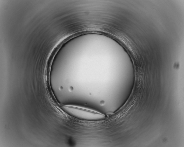 X0000098031076200804181223