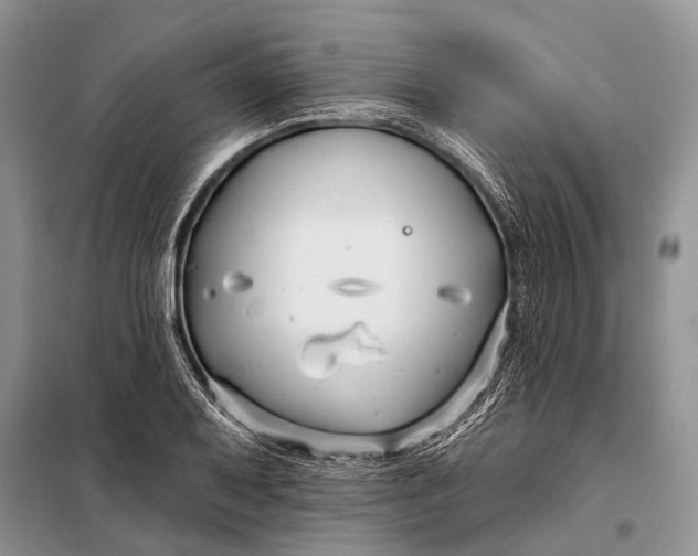 X0000098031079200804181223