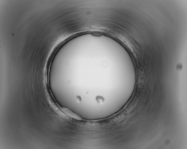 X0000098031080200804181223