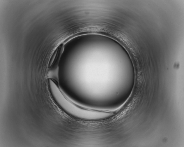 X0000098031081200804181223