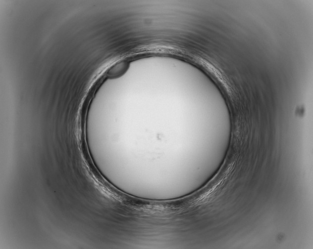 X0000098031082200804181223