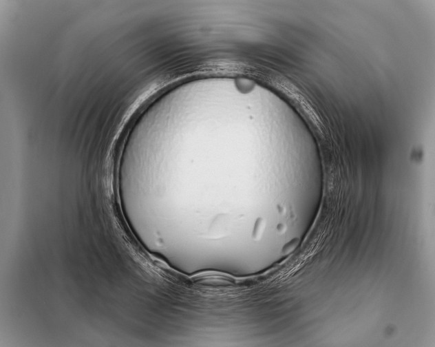 X0000098031083200804181223