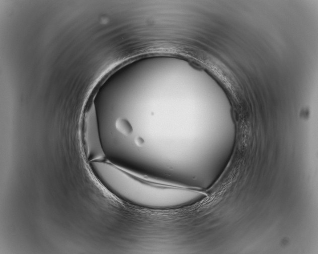 X0000098031084200804181223