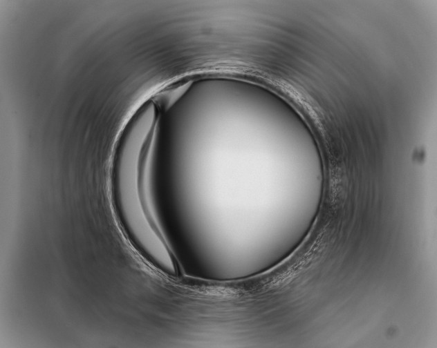 X0000098031085200804181223