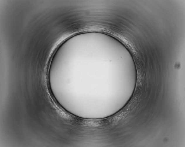 X0000098031086200804181223