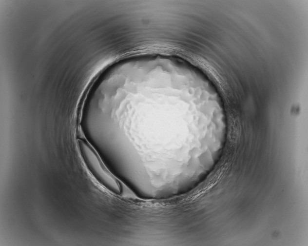 X0000098031087200804181223