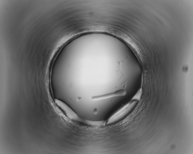 X0000098031088200804181223