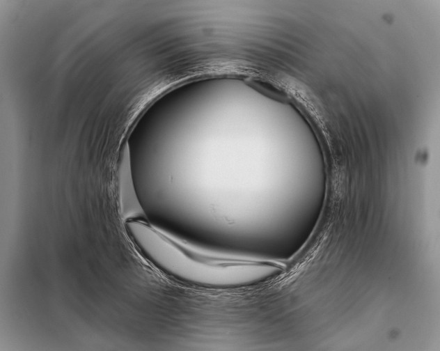 X0000098031089200804181223