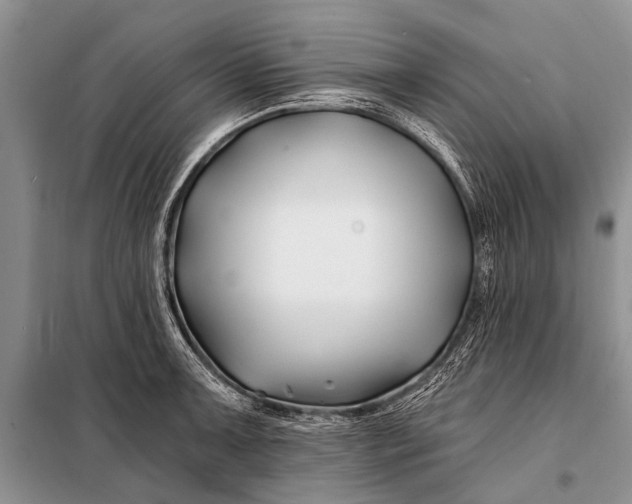 X0000098031091200804181223