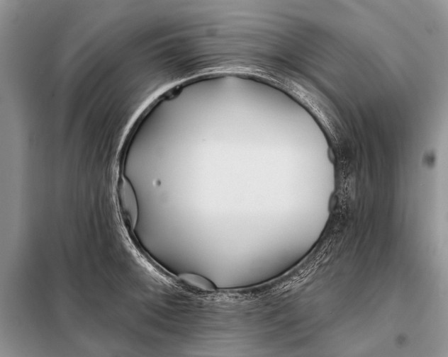 X0000098031092200804181223