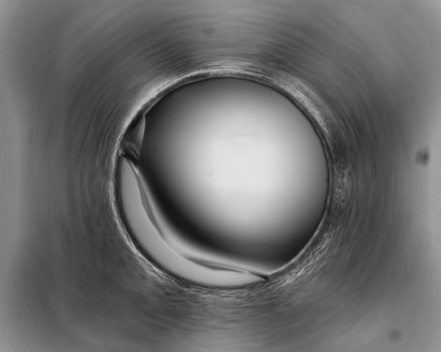 X0000098031093200804181223