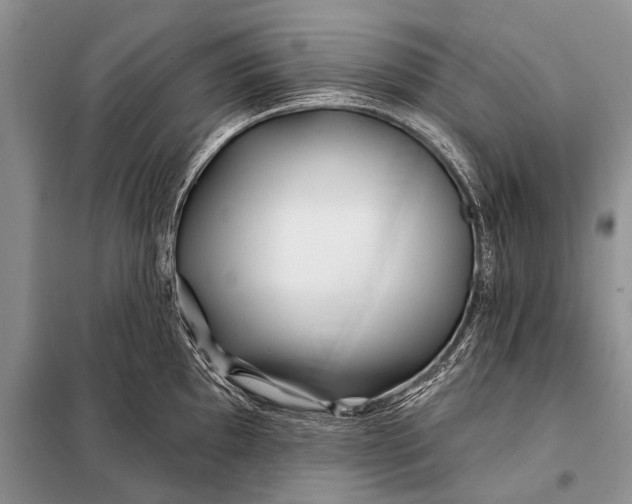 X0000098031097200804181223