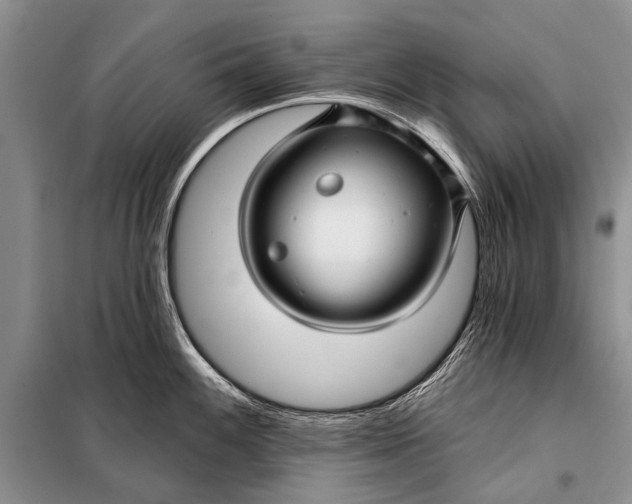 X0000098031100200804181223