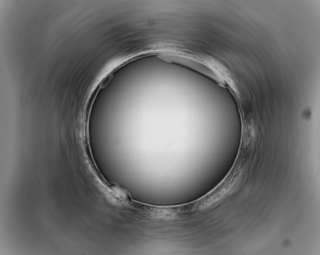 X0000098031101200804181223