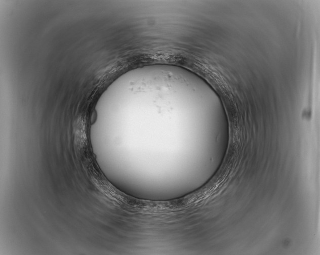 X0000098031106200804181222