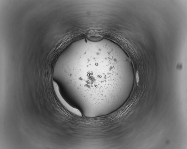 X0000098031107200804181222