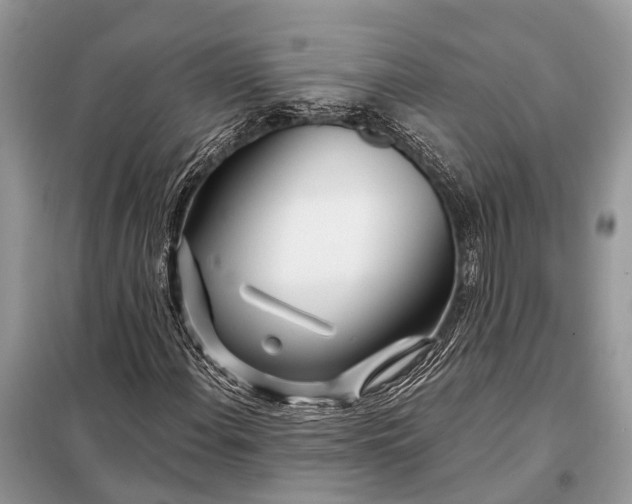 X0000098031108200804181222