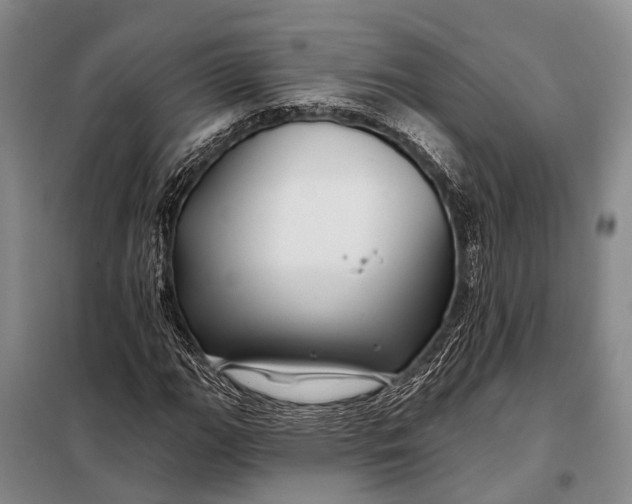 X0000098031111200804181222