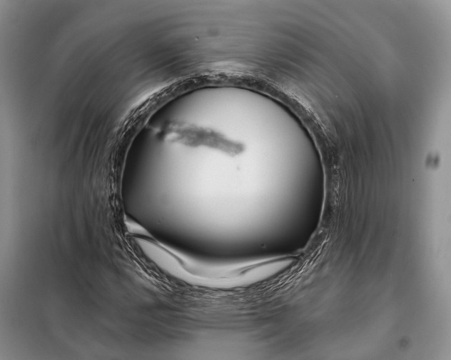 X0000098031112200804181222