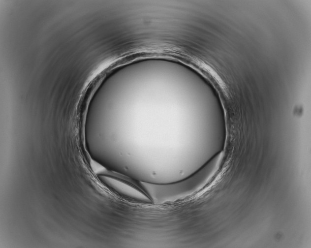 X0000098031114200804181222