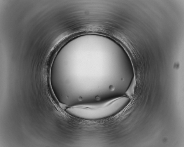 X0000098031115200804181222