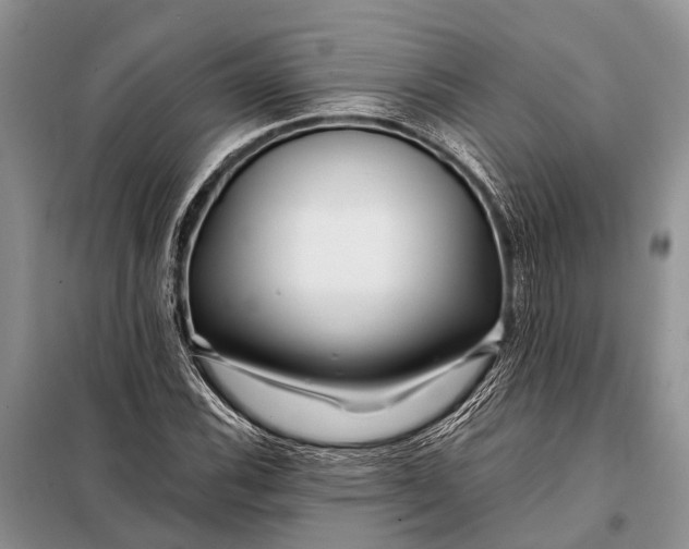 X0000098031116200804181222