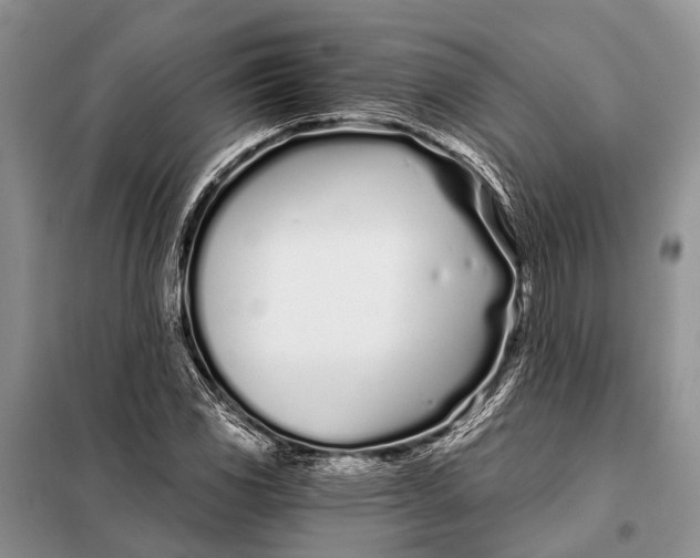 X0000098031117200804181222