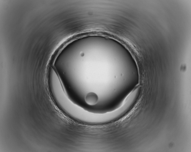 X0000098031118200804181222