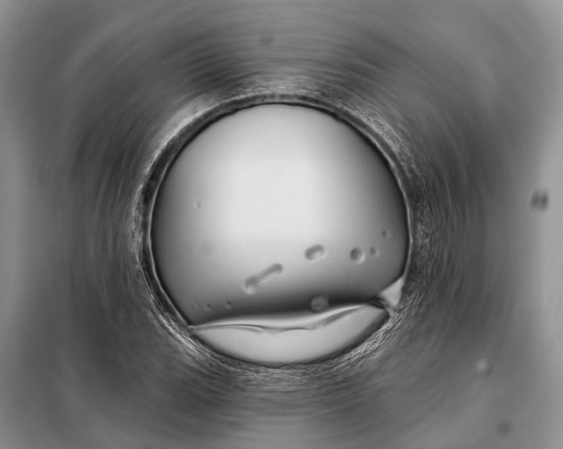 X0000098031119200804181222