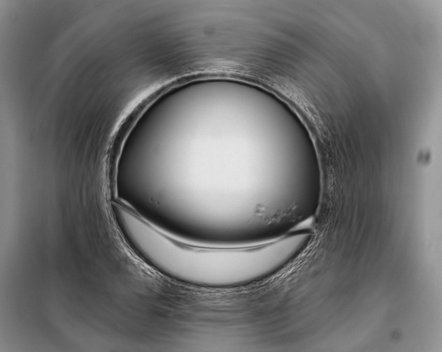 X0000098031120200804181222